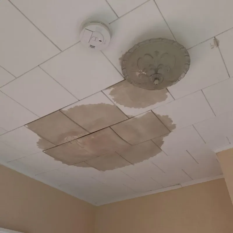 Ceiling Water Damage Repair in Bourbon County, KY
