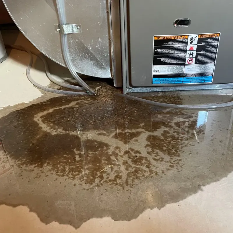 Pipe Burst and Leak Restoration in Bourbon County, KY