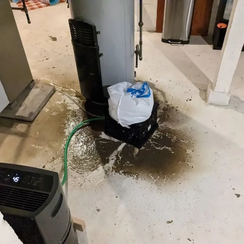 Sewage Backup Cleanup Service in Bourbon County, KY